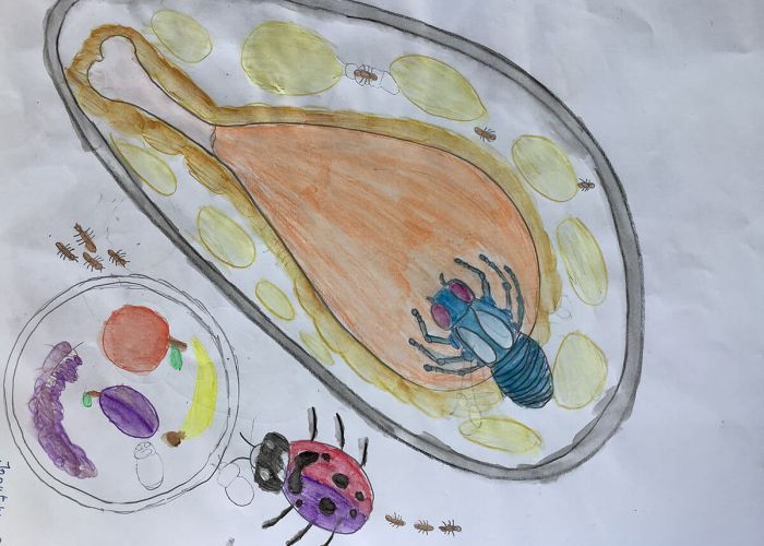 Kunstprojekt Insekten