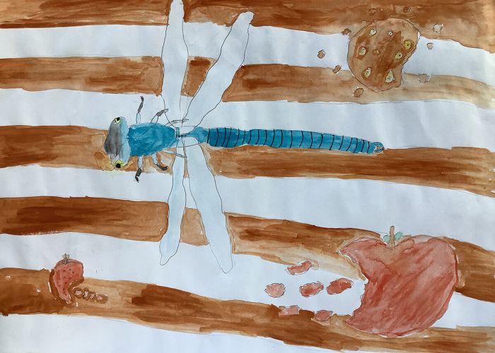 Kunstprojekt Insekten