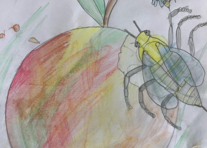 Kunstprojekt Insekten