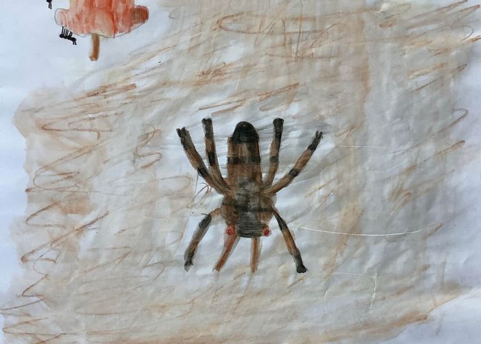 Kunstprojekt Insekten